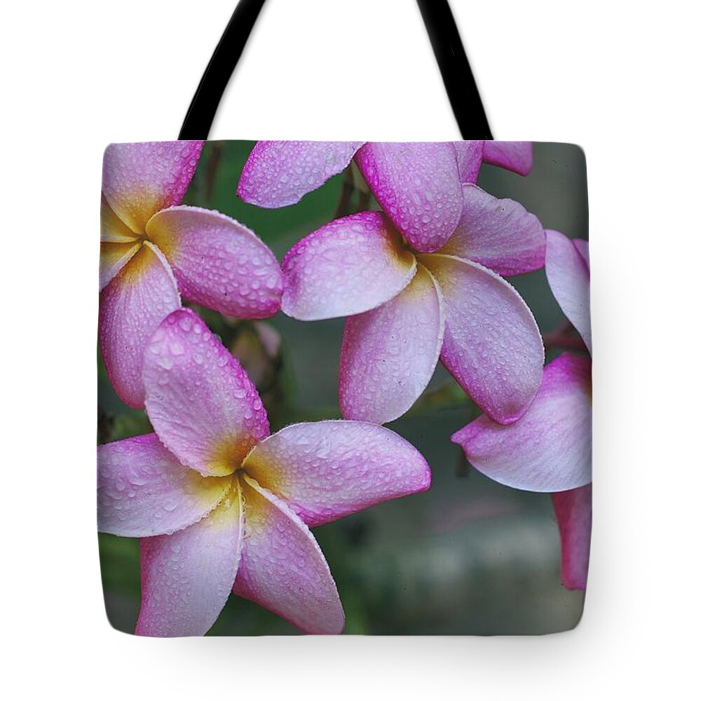 Floral Tote Bag featuring the photograph Morning Dew by Jade Moon 