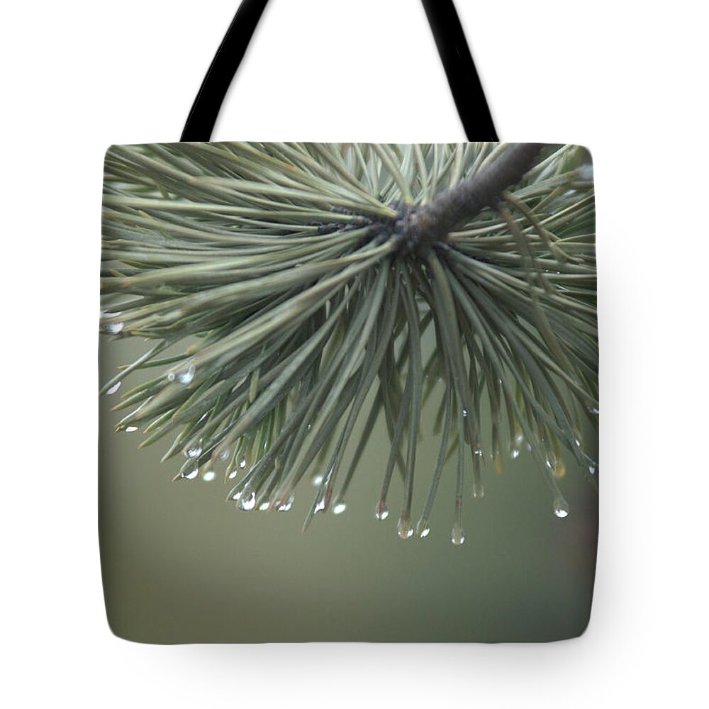 Fog Tote Bag featuring the photograph Morning Fog by Frank Madia