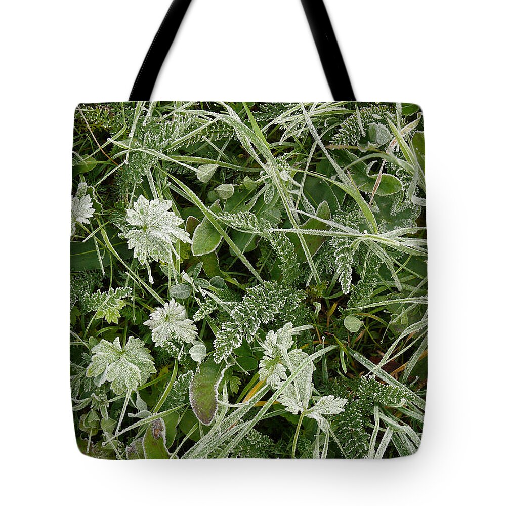 Morning Tote Bag featuring the photograph Morning Frost by Evelyn Tambour