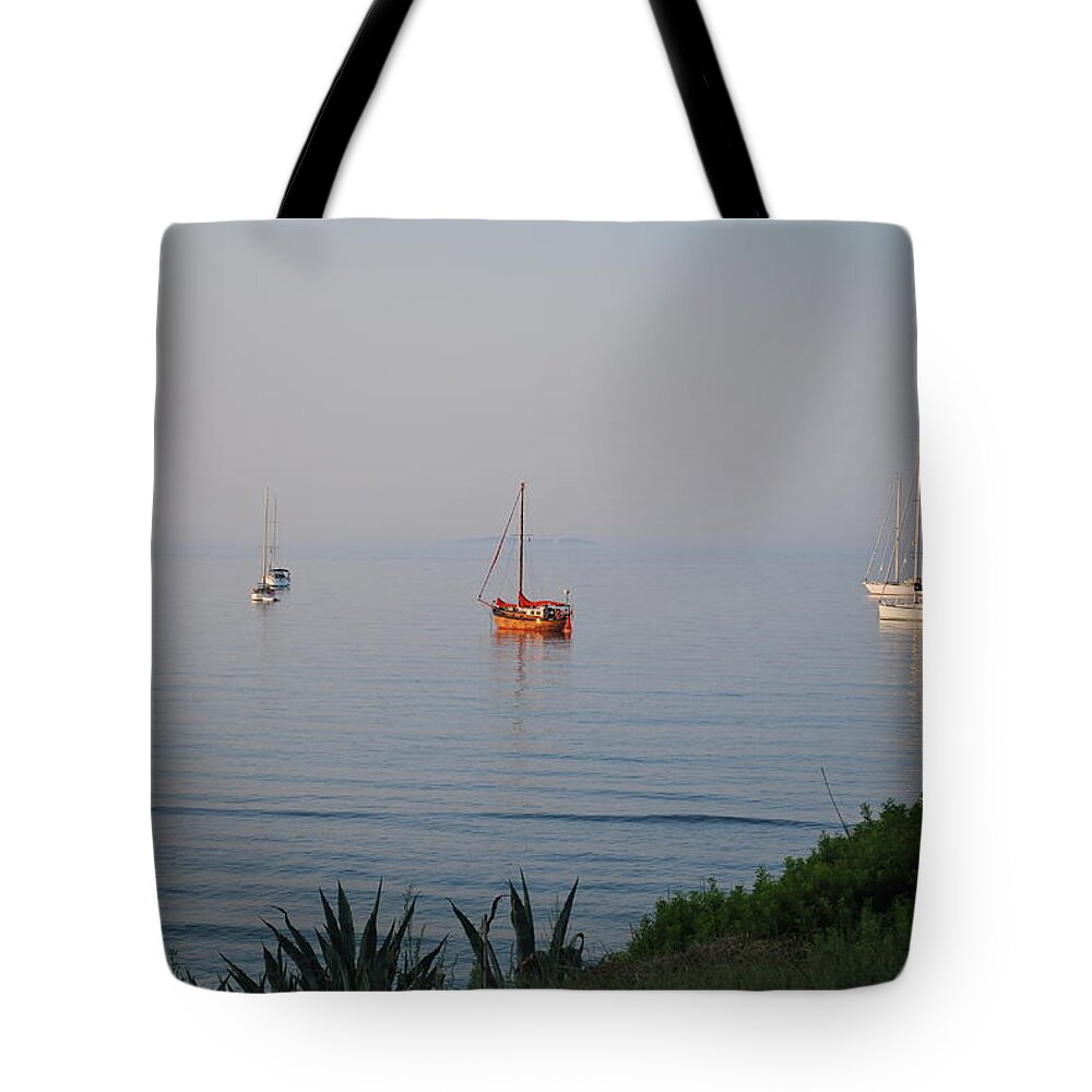 Seascape Tote Bag featuring the photograph Morning by George Katechis