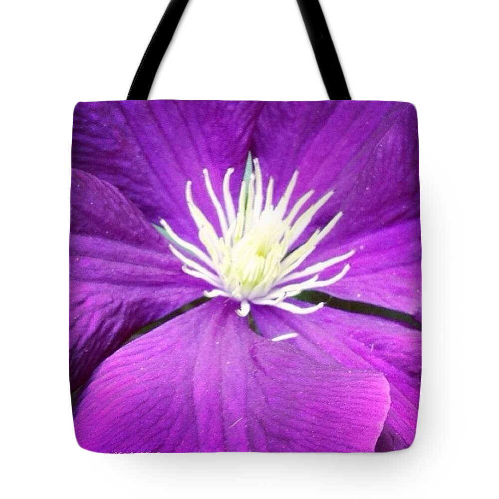 Purples_up Tote Bag featuring the photograph Morning Glorious! From My Spring Garden by Anna Porter