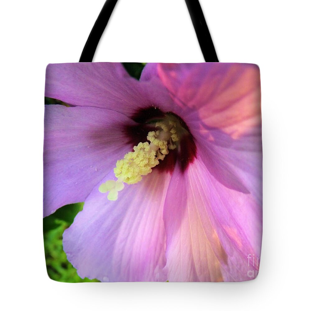 Purple Tote Bag featuring the photograph Morning Glory by Robyn King