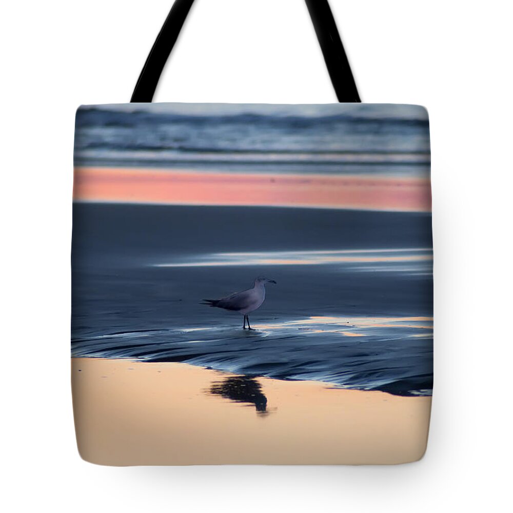 Morning Gull Tote Bag featuring the photograph Morning Gull by Bill Cannon