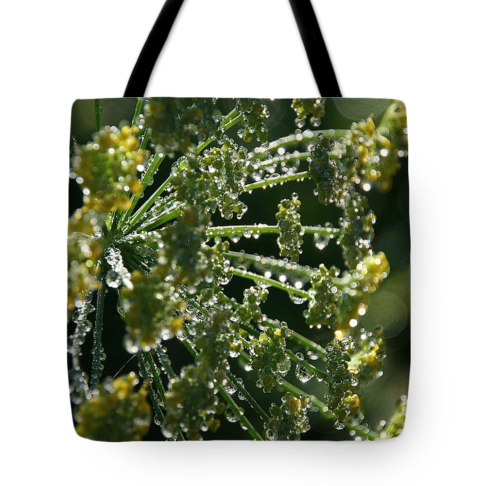 Flower Tote Bag featuring the photograph Morning Mustard Dill by Susan Herber