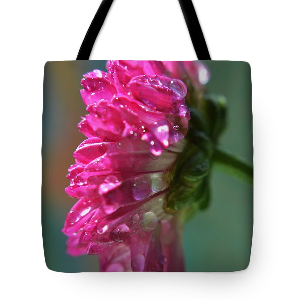 Michelle Meenawong Tote Bag featuring the photograph Morning Shower by Michelle Meenawong