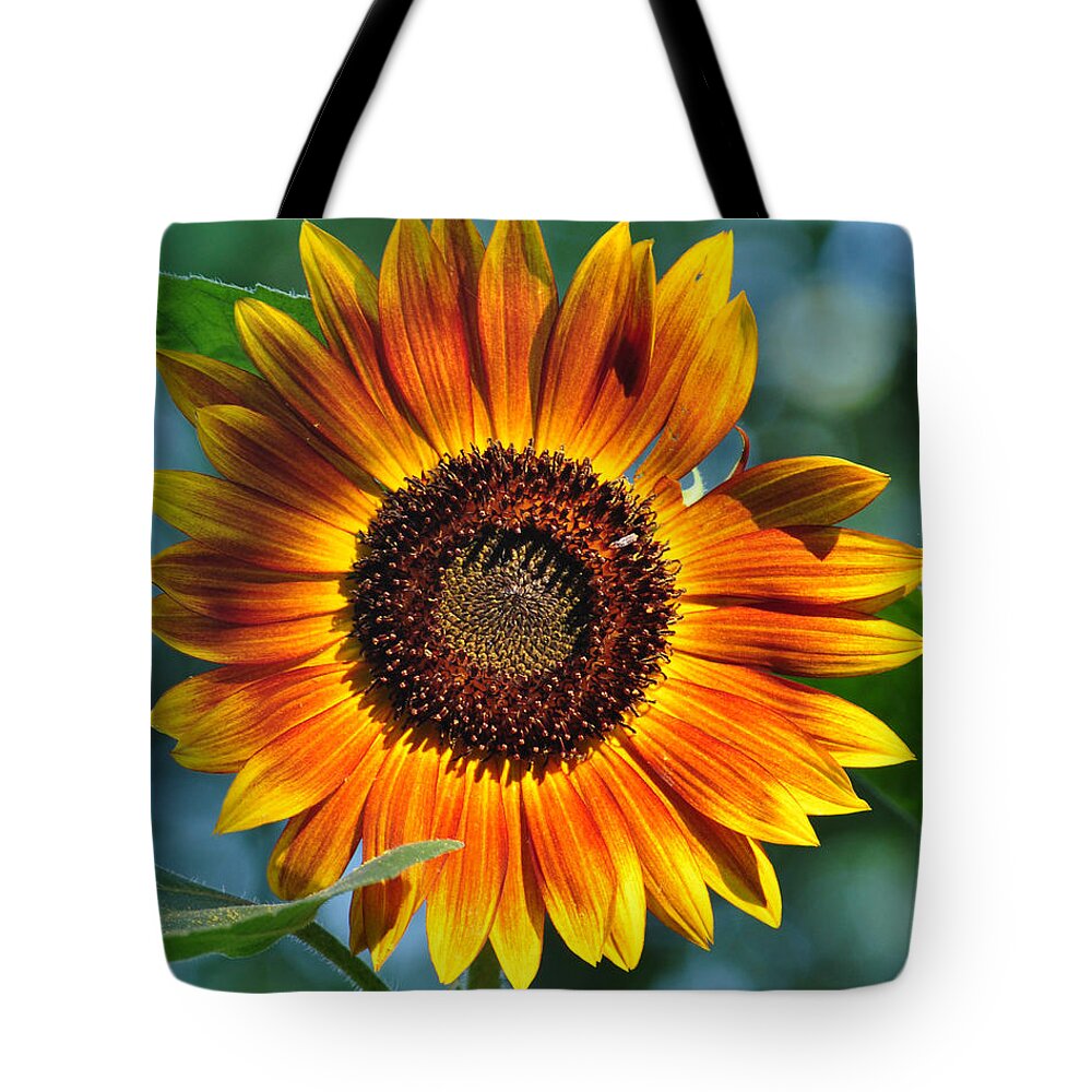 Flower Tote Bag featuring the painting Morning Sun by Gail Butler