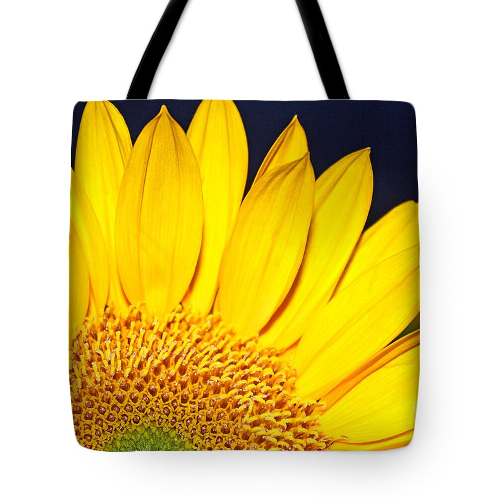 Flower Tote Bag featuring the photograph Morning Sunshine by Kelly Holm