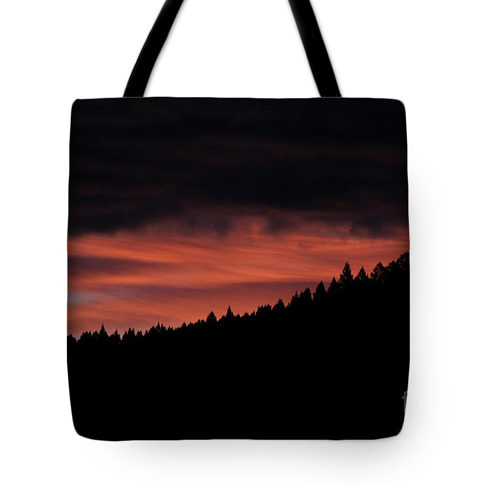 Sunrise Tote Bag featuring the photograph Morning View by Ann E Robson