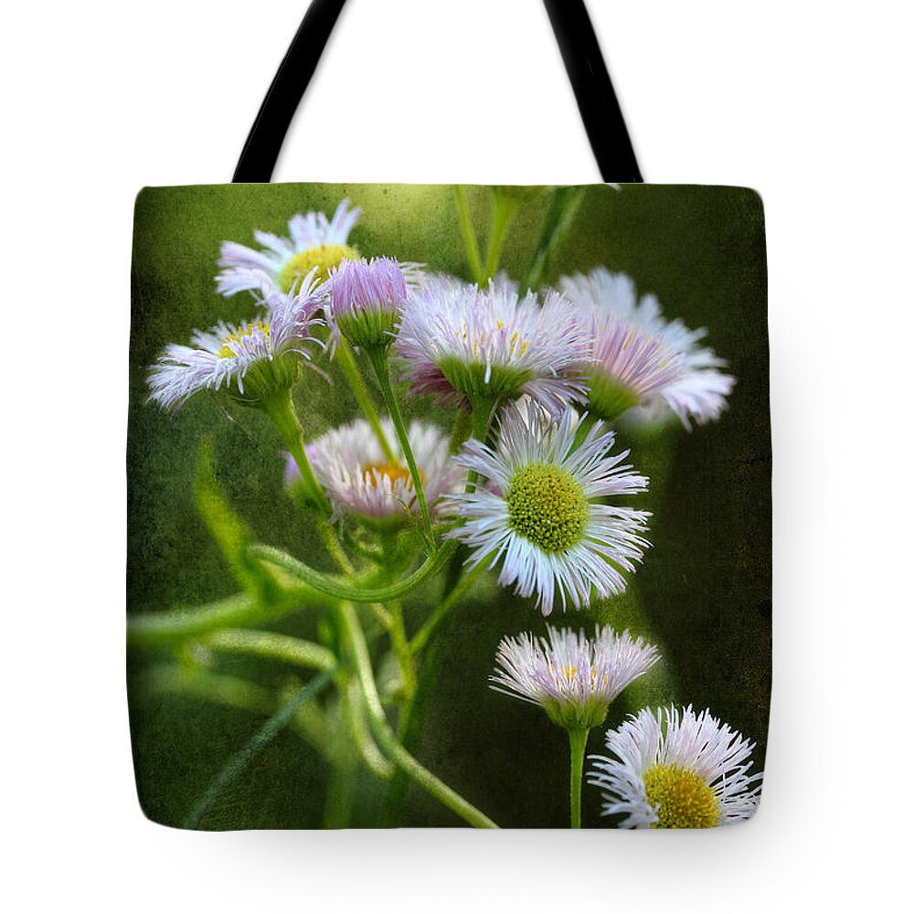 Philadelphia Fleabane Tote Bag featuring the photograph Morning Visions by Michael Eingle