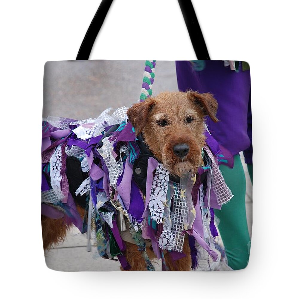 Dog Tote Bag featuring the photograph Morris dancers dog Hastings by David Fowler
