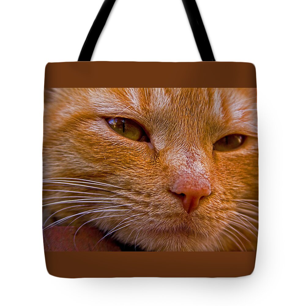 Morris Tote Bag featuring the photograph Morris up close by Andy Lawless