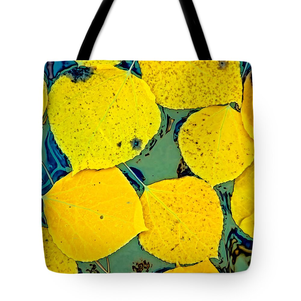 Fall Tote Bag featuring the photograph Mosaic by Jonathan Nguyen