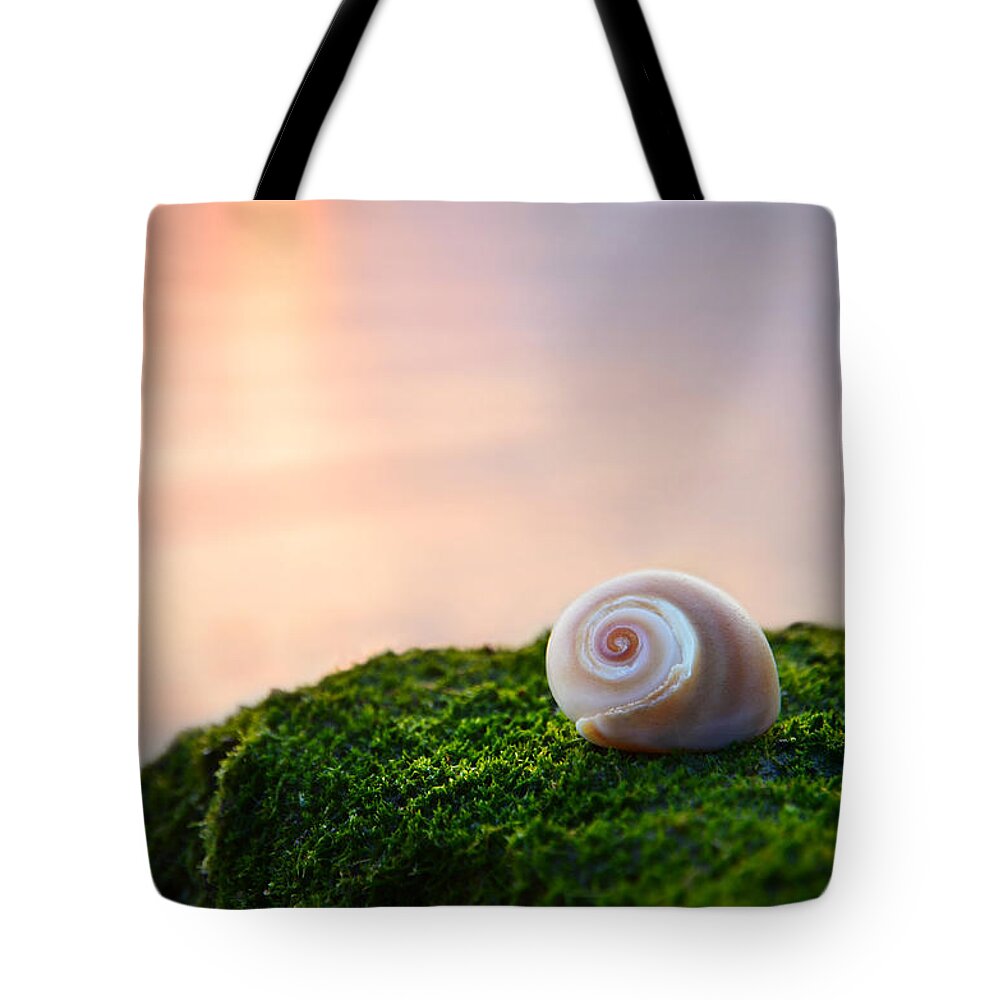 Shell Tote Bag featuring the photograph By The Sea by Laura Fasulo