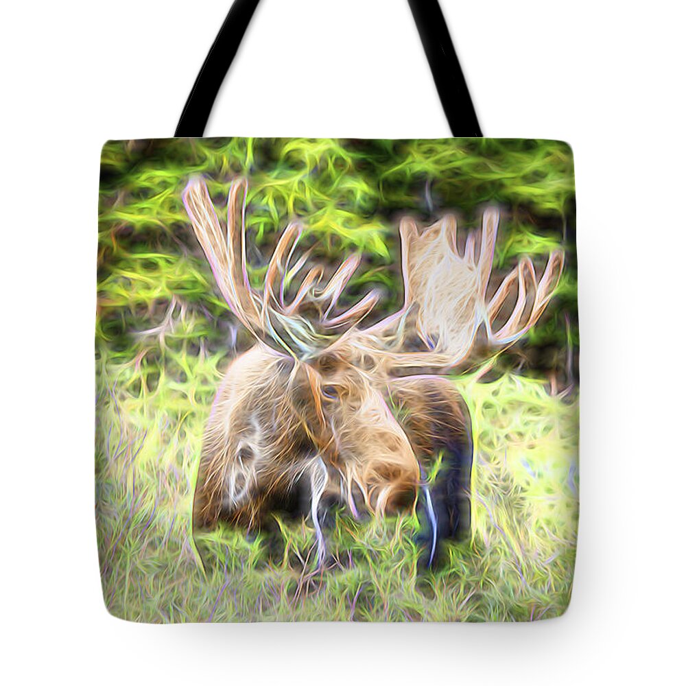 North America Moose Tote Bag featuring the photograph Moose Glow by James BO Insogna