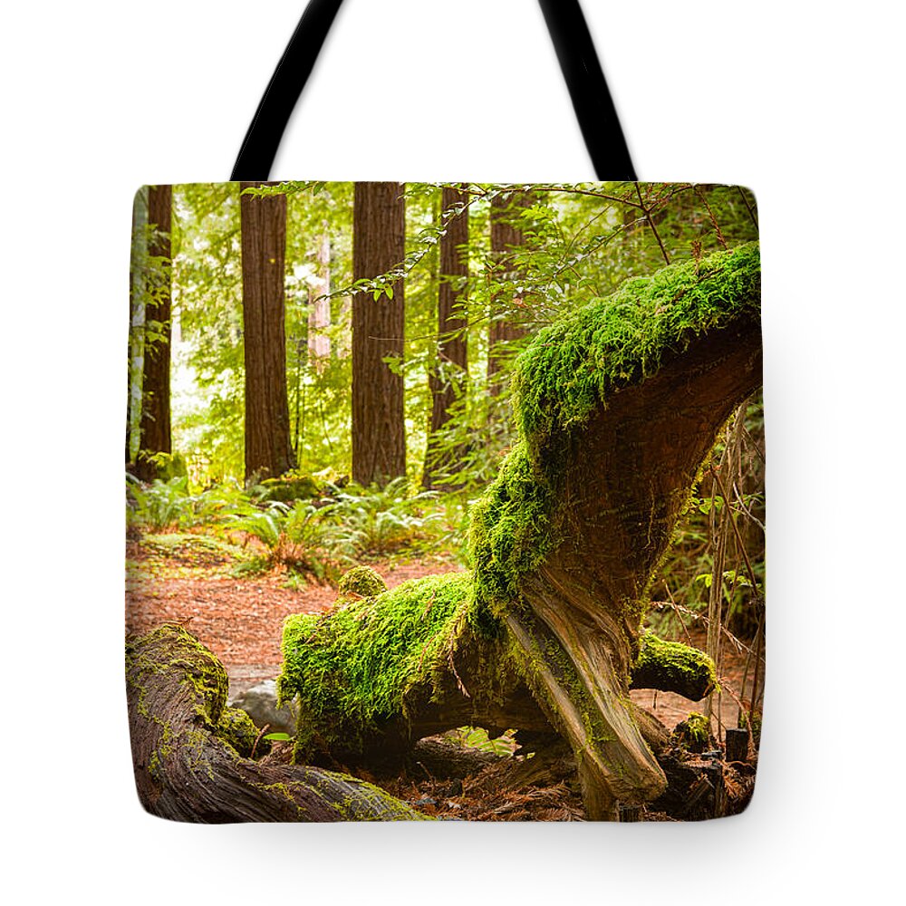Moss Tote Bag featuring the photograph Mossy Creature by Bryant Coffey