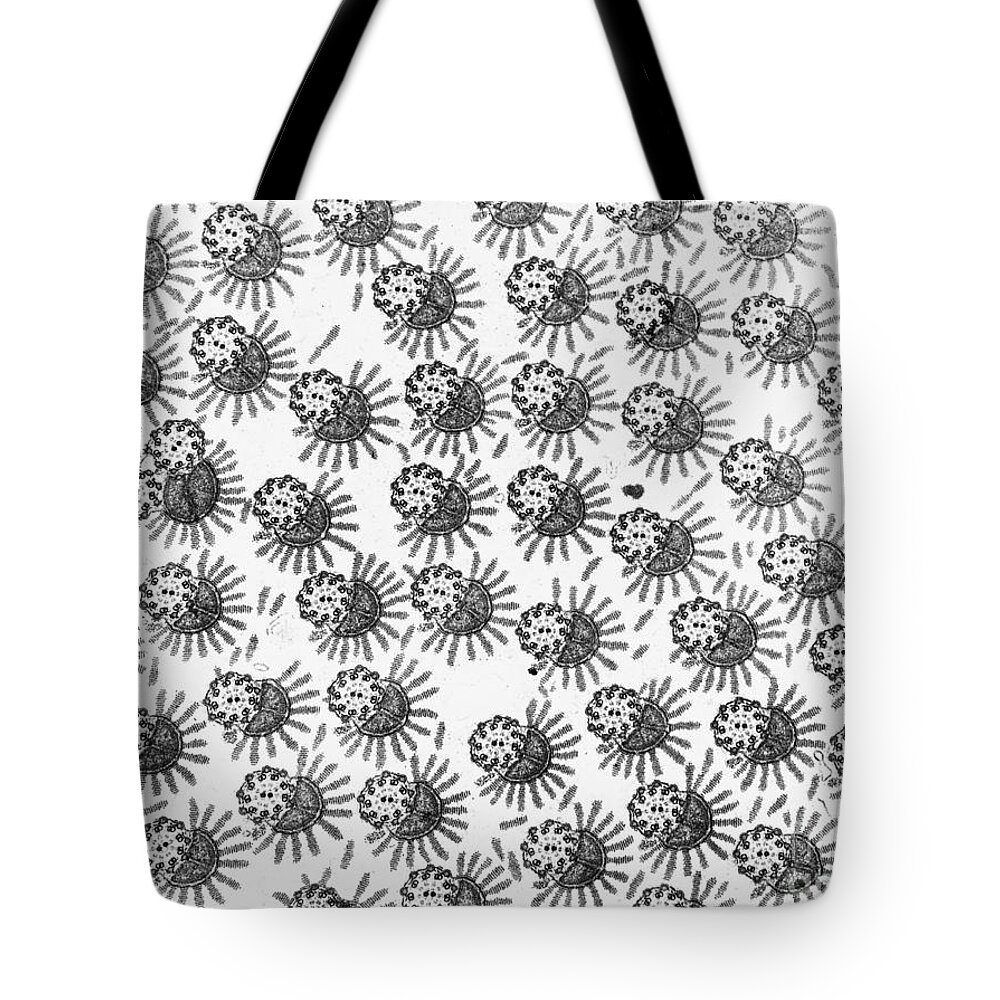 Science Tote Bag featuring the photograph Moth Sperm Tem by David M. Phillips