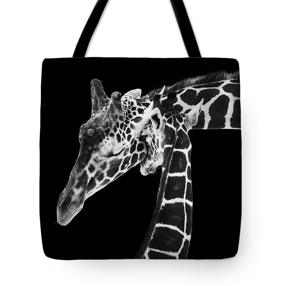 3scape Photos Tote Bag featuring the photograph Mother and Baby Giraffe by Adam Romanowicz