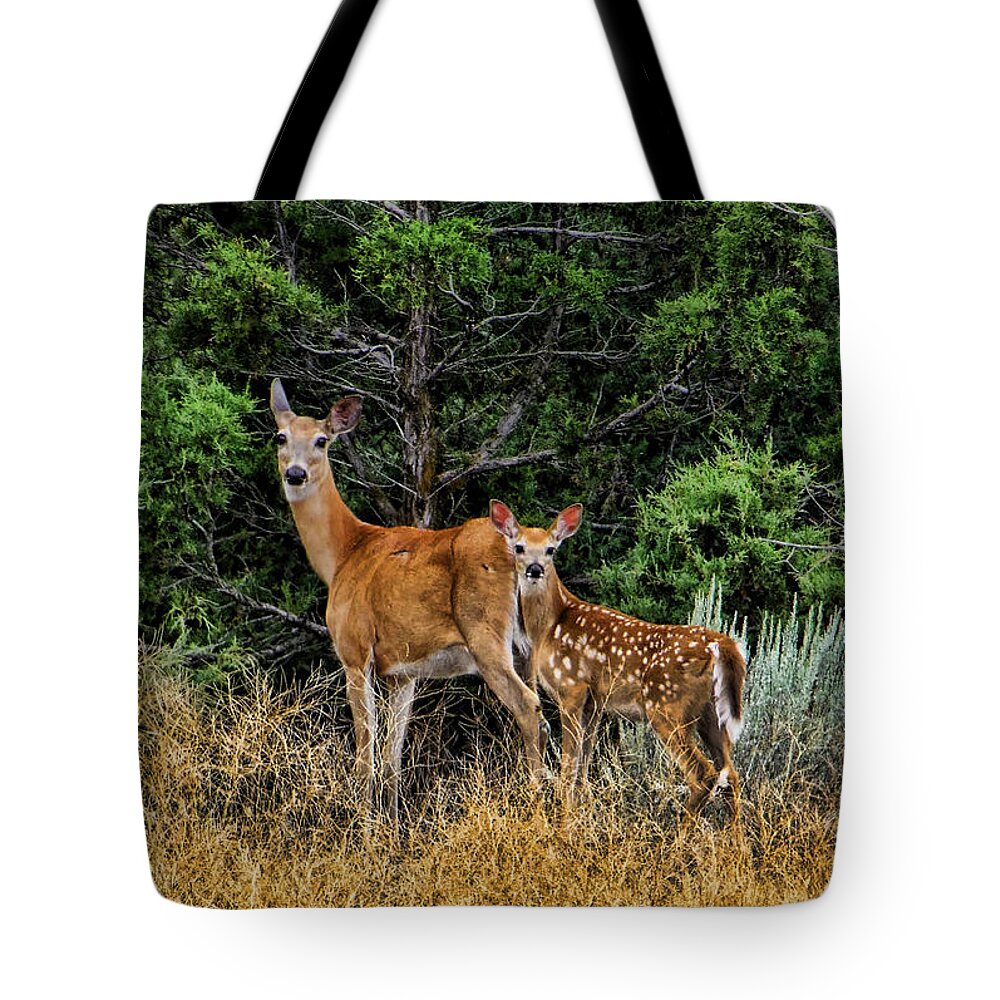 Ron Roberts Photography Tote Bag featuring the photograph Mother and Child by Ron Roberts