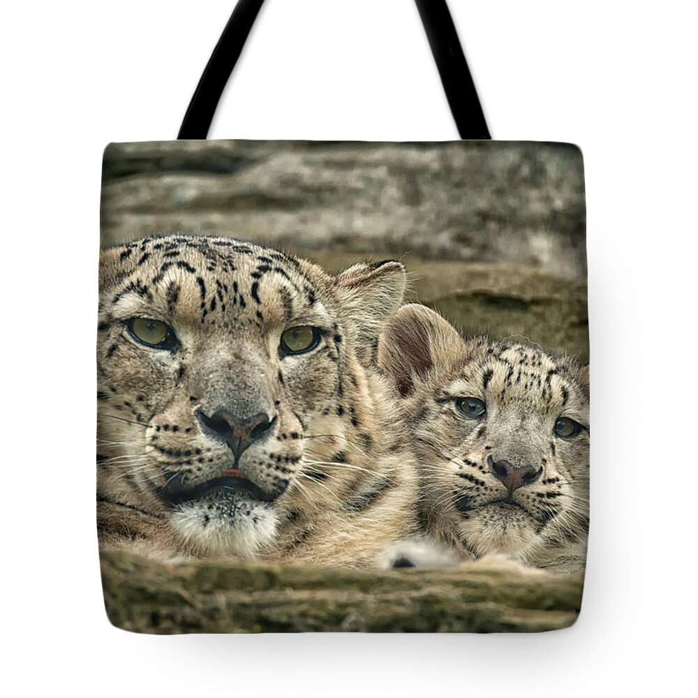 Marwell Tote Bag featuring the photograph Mother and cub by Chris Boulton