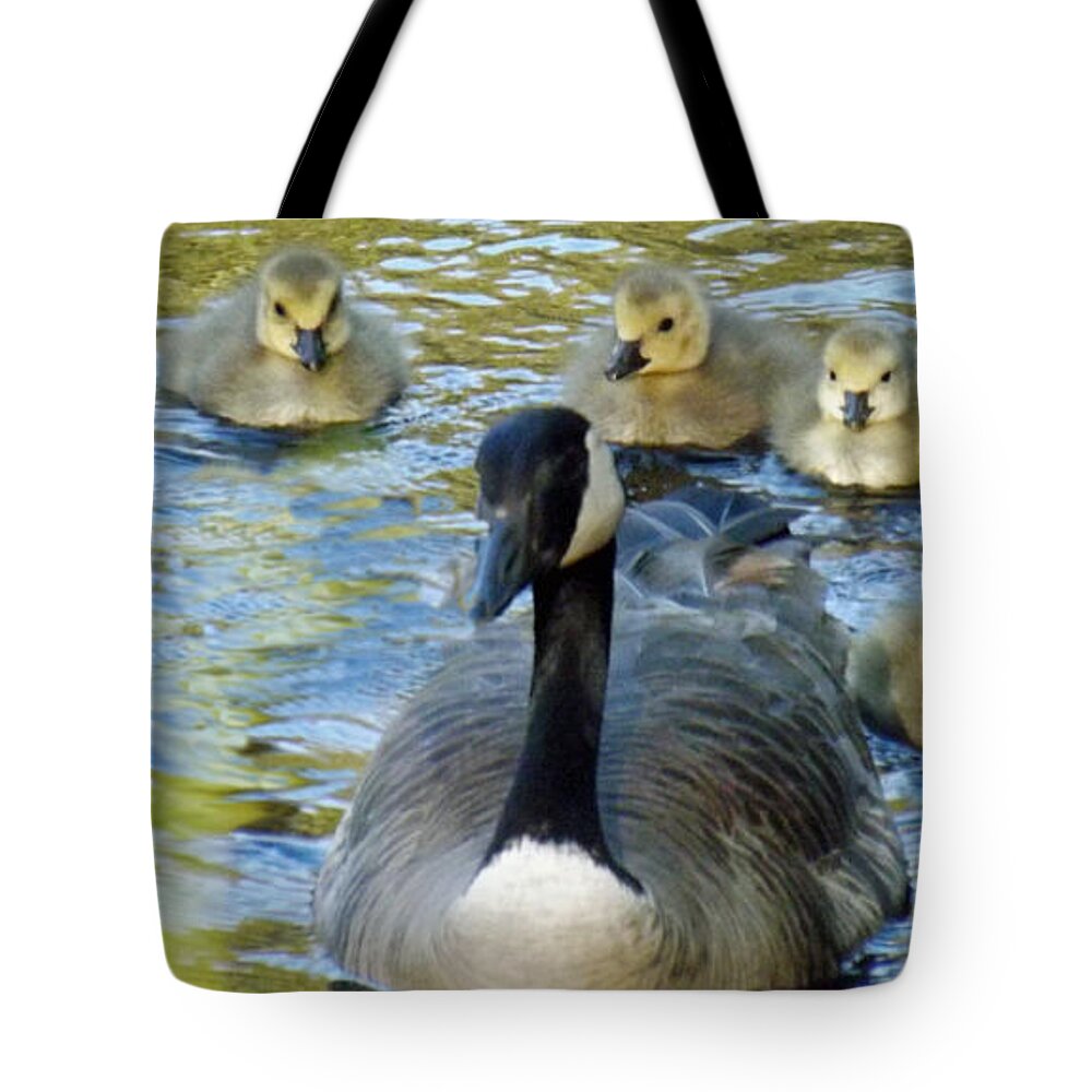 Mother Goose Tote Bag featuring the photograph Mother Goose and Brood by Brenda Brown