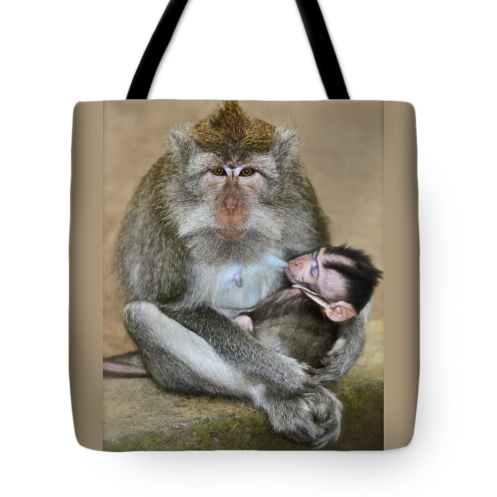 Monkeys Tote Bag featuring the photograph Mother Macaque and her Baby by Venetia Featherstone-Witty