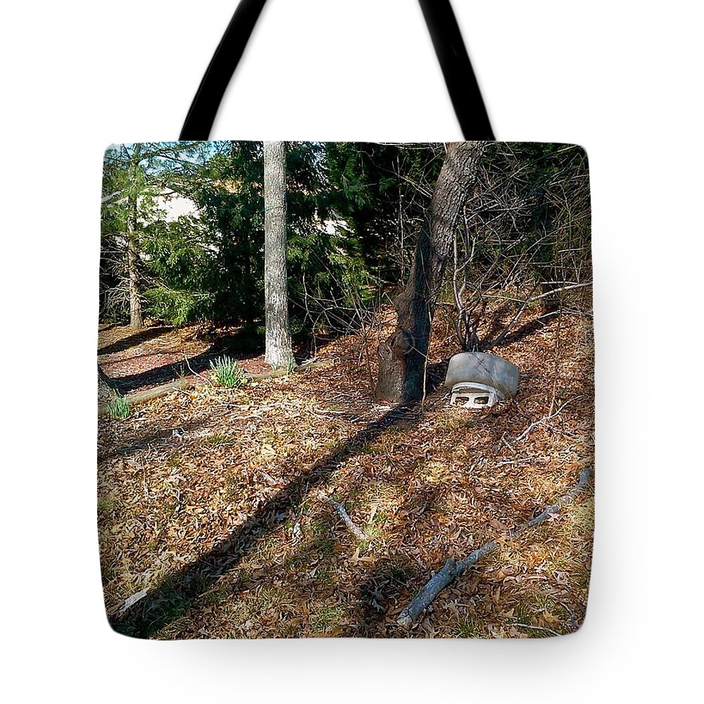 Nature Tote Bag featuring the photograph Mother Nature by Chris W Photography AKA Christian Wilson