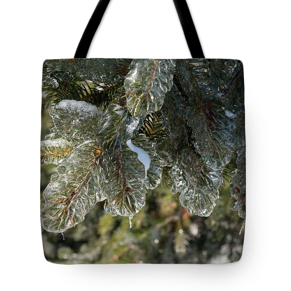 Pine Tote Bag featuring the photograph Mother Nature's Christmas Decorations - Pine Tree Branches by Georgia Mizuleva