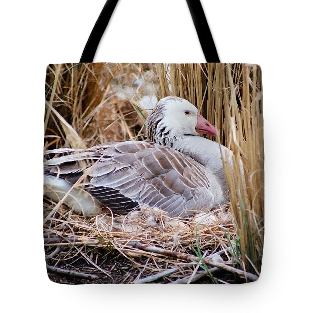 Christian Tote Bag featuring the photograph Mother's Day Goose by Anita Oakley