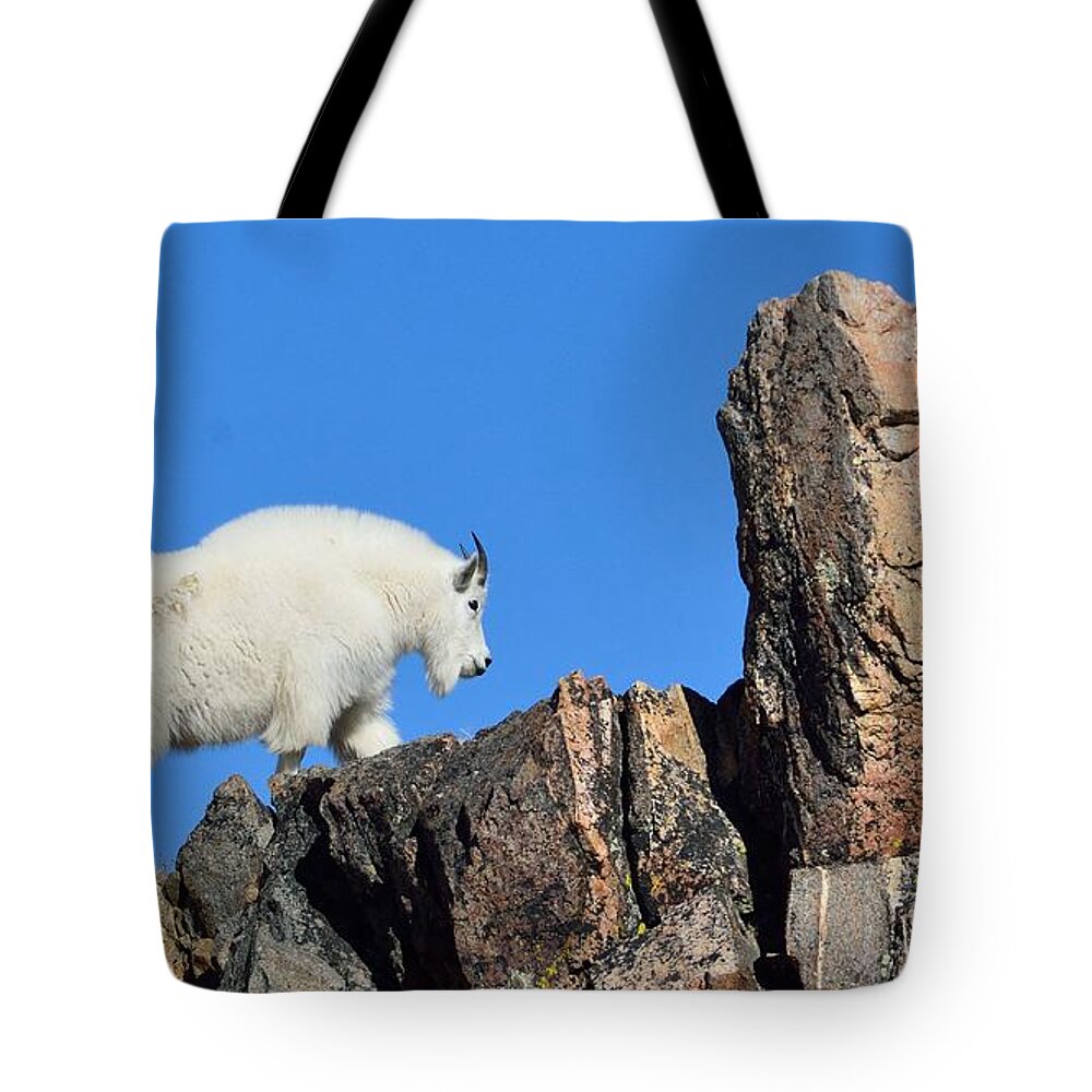 Mountain Tote Bag featuring the photograph Mountain Goat by Tranquil Light Photography