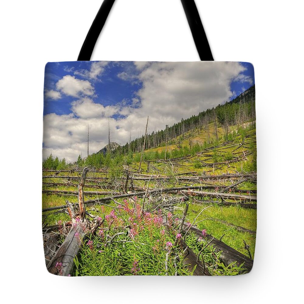 Mountains Tote Bag featuring the photograph Mountain Meadow in Banff by Jim Sauchyn