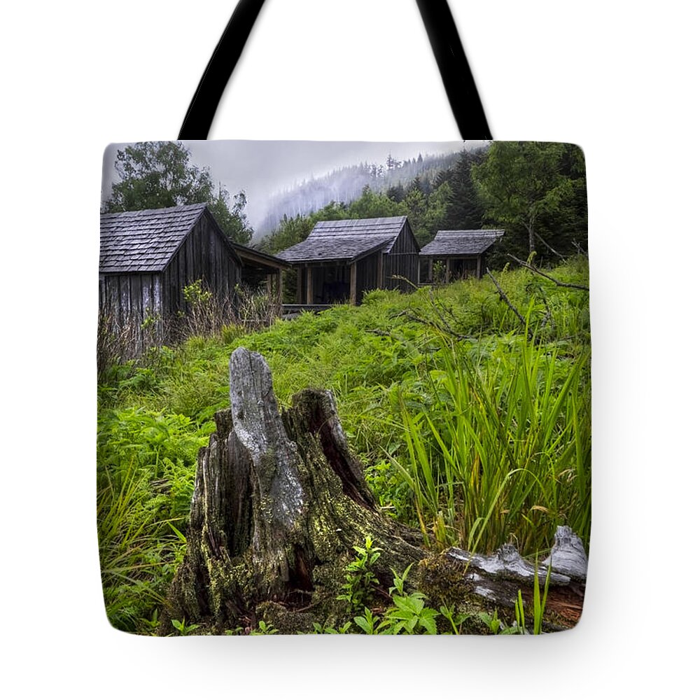 Appalachia Tote Bag featuring the photograph Mountain Mists at Le Conte by Debra and Dave Vanderlaan