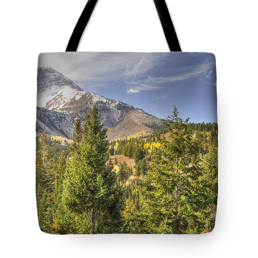 Canvas Print Tote Bag featuring the photograph Mountain Vista by Wendy Elliott