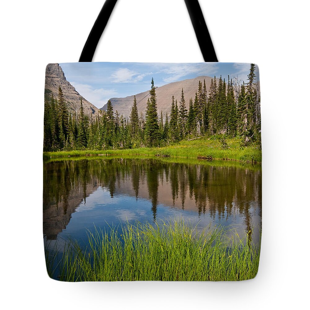 Beauty In Nature Tote Bag featuring the photograph Mountains Reflected in an Alpine Lake by Jeff Goulden