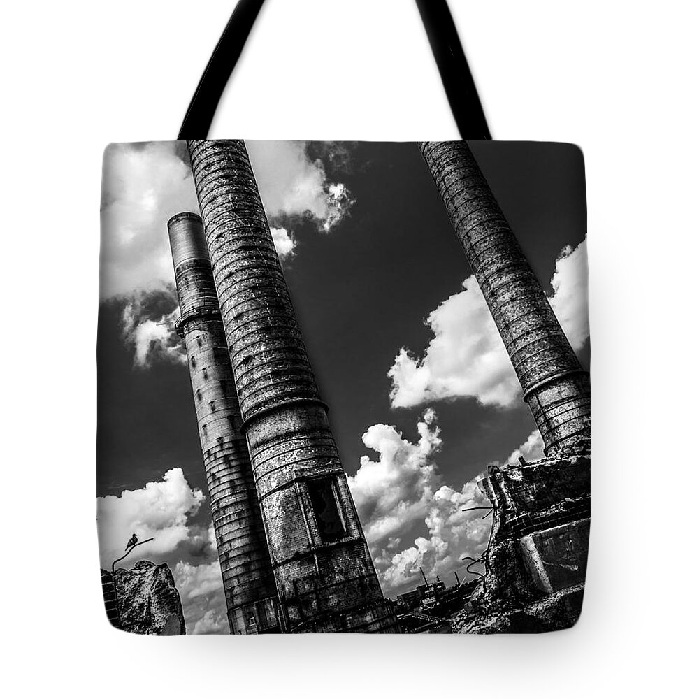 Maumee Tote Bag featuring the photograph Mourning Dove by Michael Arend