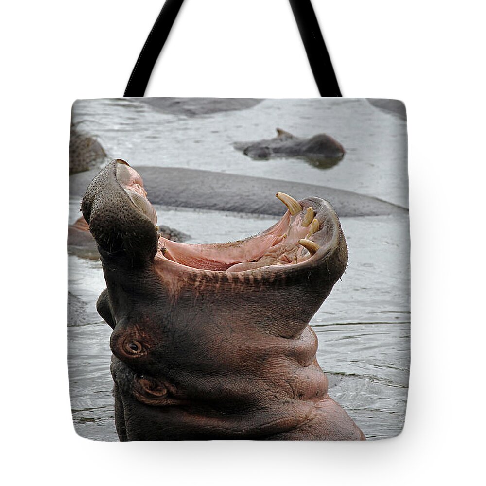 Hippo Tote Bag featuring the photograph Mouth wide open by Tony Murtagh