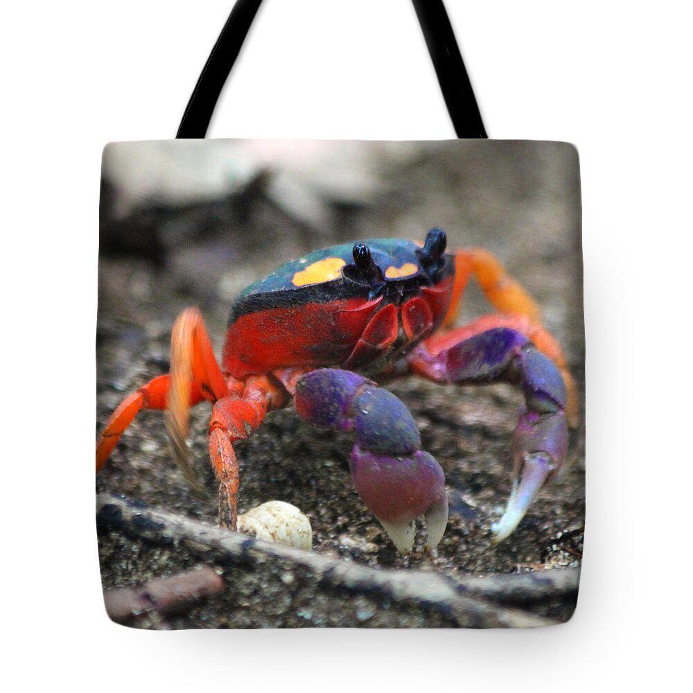 Crab Tote Bag featuring the photograph Mouthless Crab by Nathan Miller