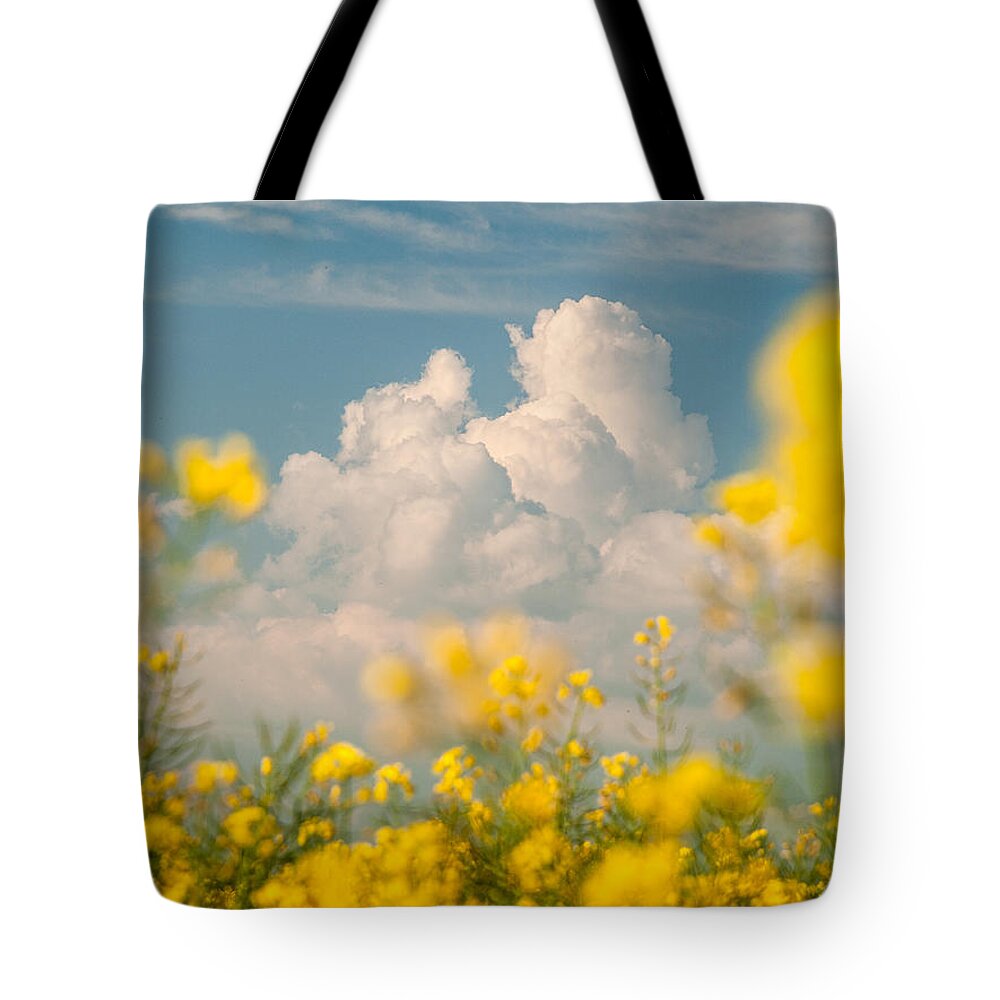 Landscapes Tote Bag featuring the photograph Mt Cloud by Davorin Mance