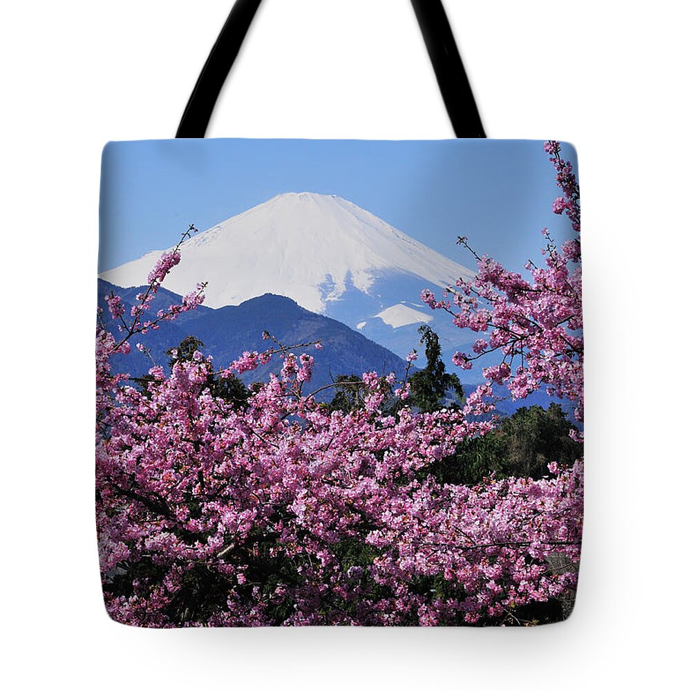 Scenics Tote Bag featuring the photograph Mt Fuji And Cherry Blossom by Photos From Japan, Asia And Othe Of The World