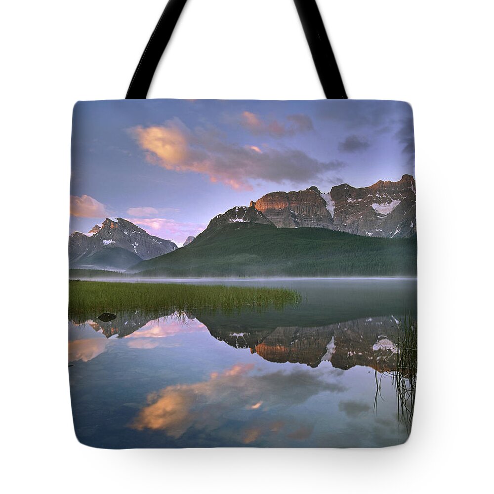 Feb0514 Tote Bag featuring the photograph Mt Patterson Banff Np Alberta by Tim Fitzharris