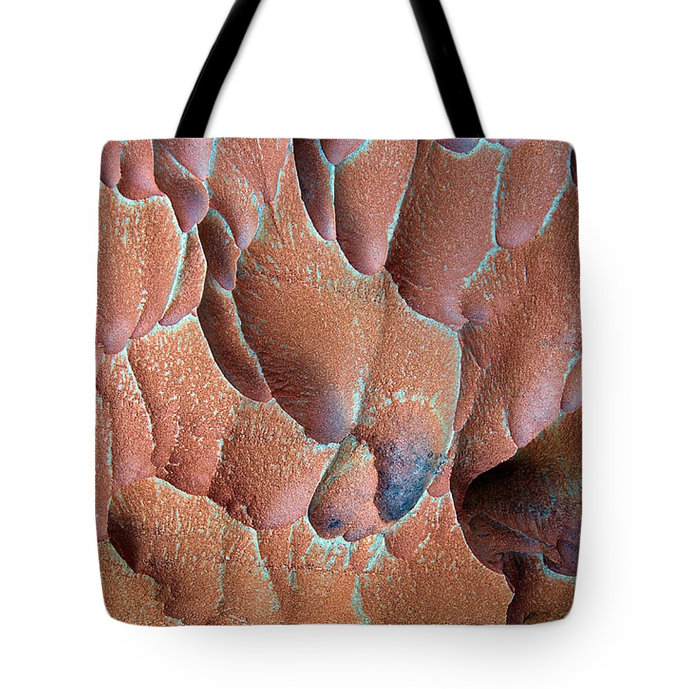 Abstract Tote Bag featuring the photograph Muav Mosaic by Britt Runyon