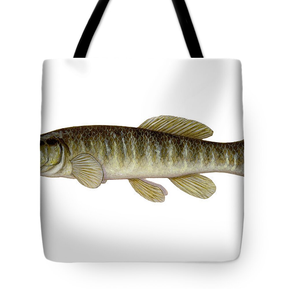 Mud Minnow Tote Bag featuring the photograph Mud Minnow by Carlyn Iverson