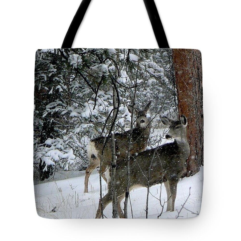 Colorado Tote Bag featuring the photograph Mule Deer Does in a Snowfall by Marilyn Burton