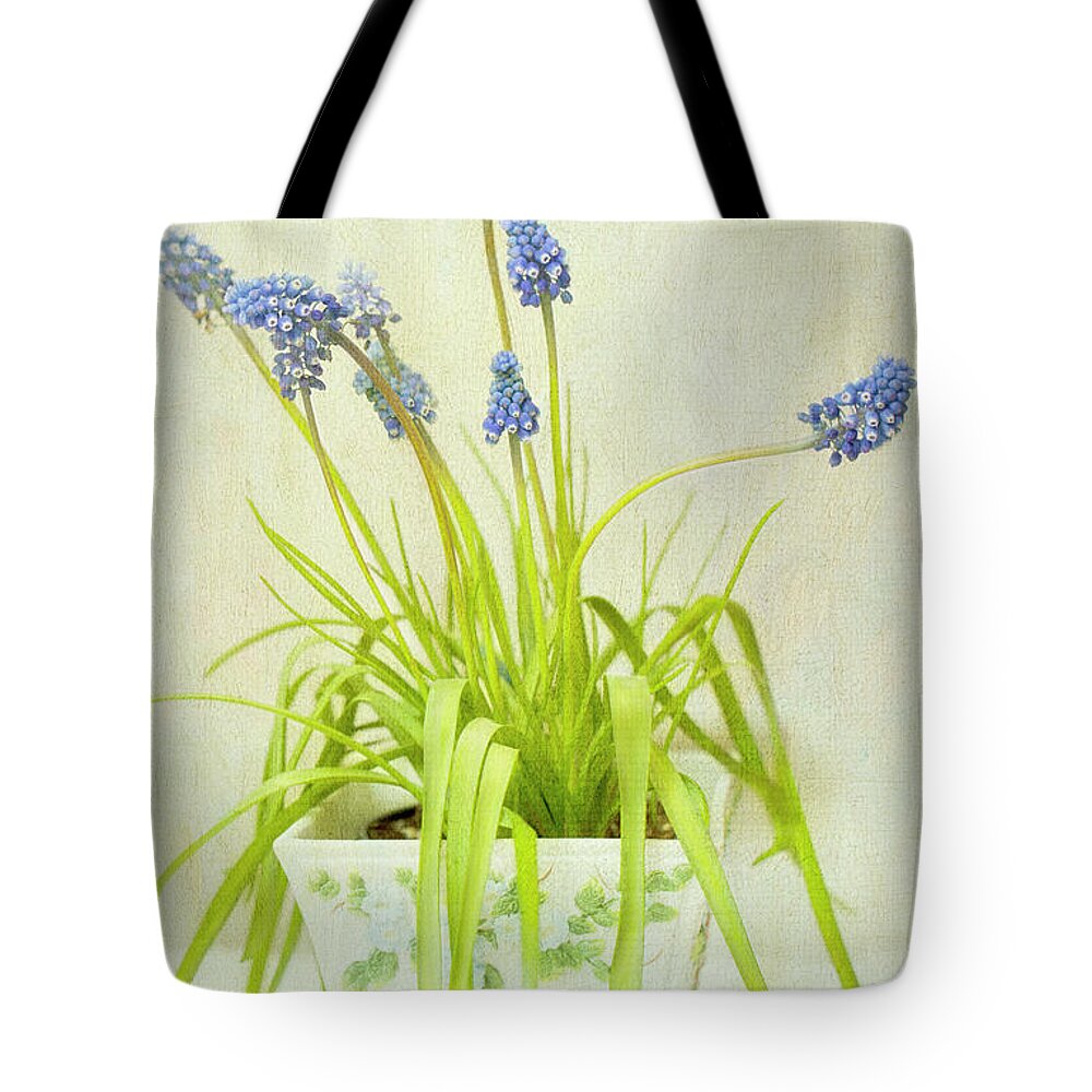California Tote Bag featuring the photograph Muscari In Pot, Textured by Susangaryphotography