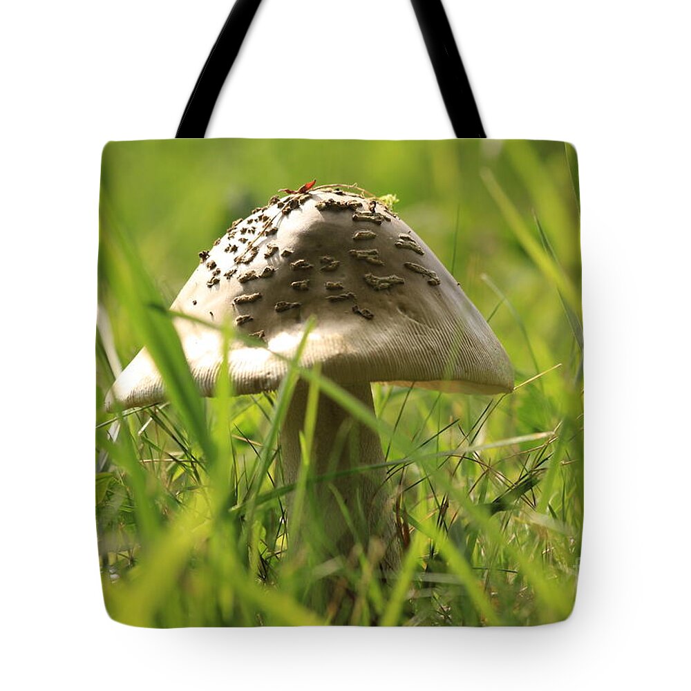 Agaric Tote Bag featuring the photograph Mushroom in the grass by Amanda Mohler