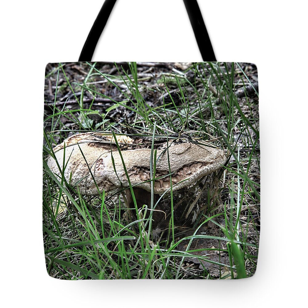 Gastronomy Tote Bag featuring the photograph Mushroom- Standing In Green Grass by Leif Sohlman