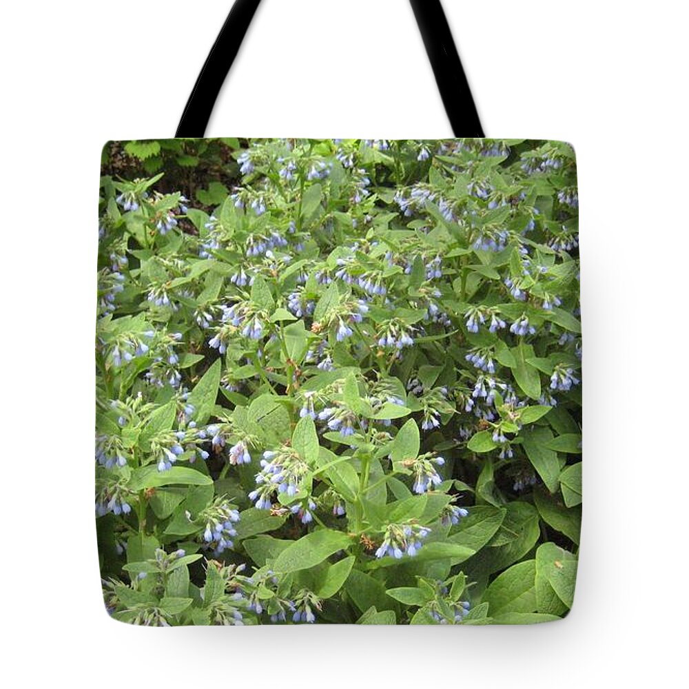 Landscape Tote Bag featuring the photograph Music In The Bush by Melissa McCrann