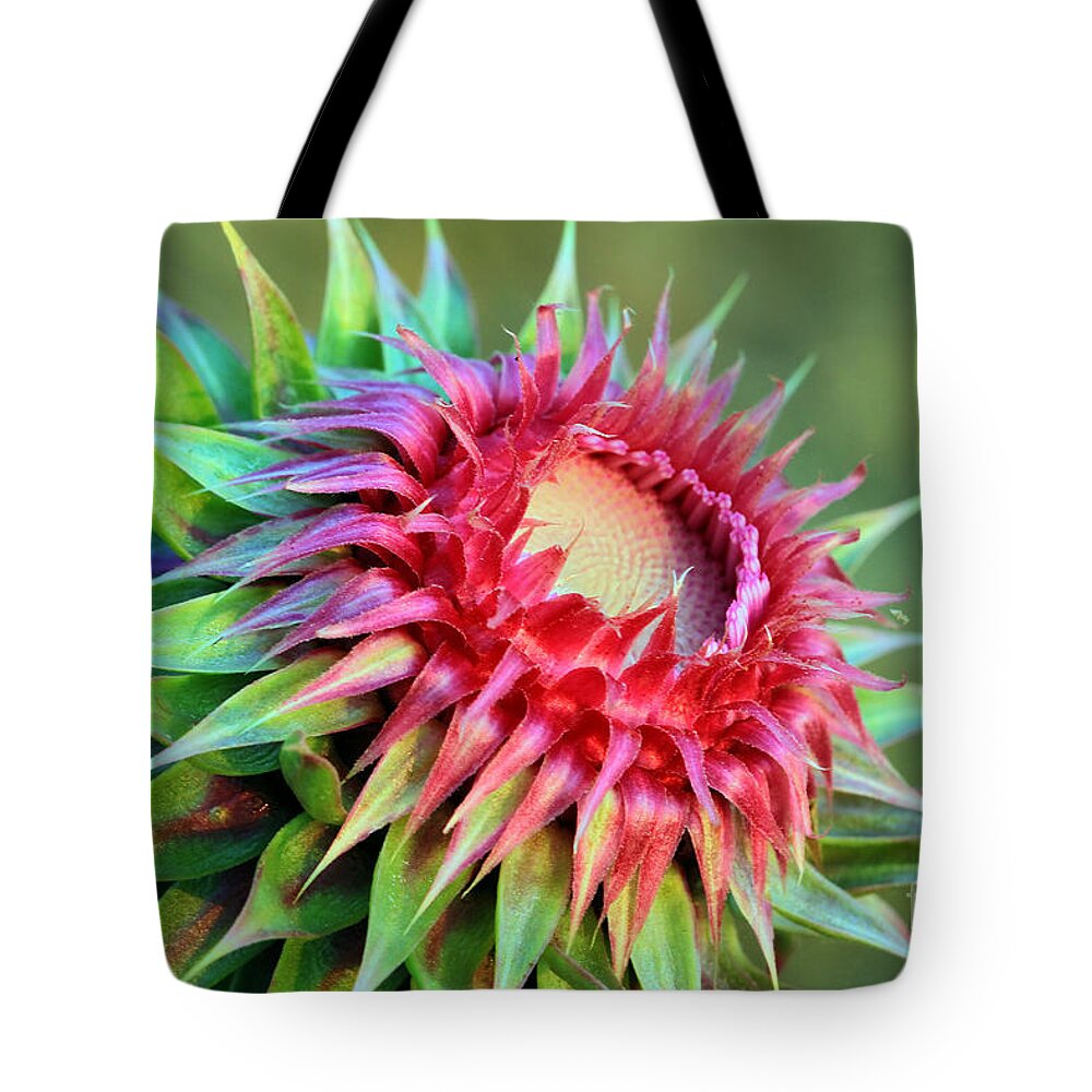 Plant Tote Bag featuring the photograph Musk Thistle by Teresa Zieba