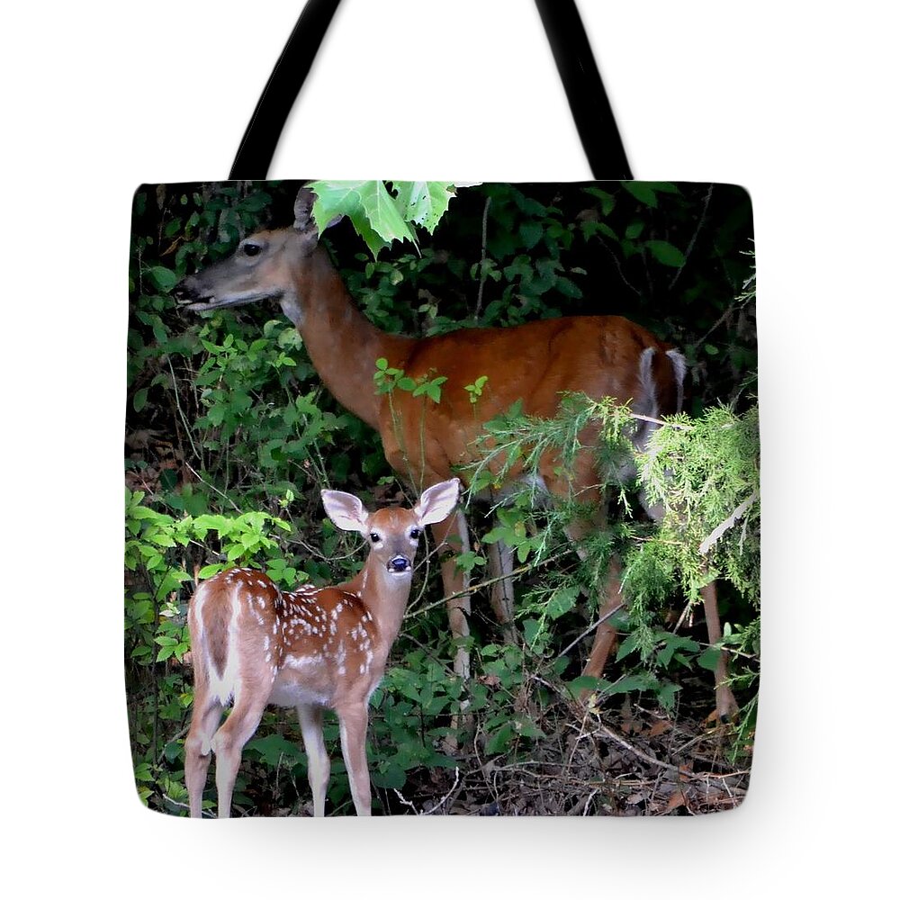 Deer Tote Bag featuring the photograph My Baby by Deena Stoddard