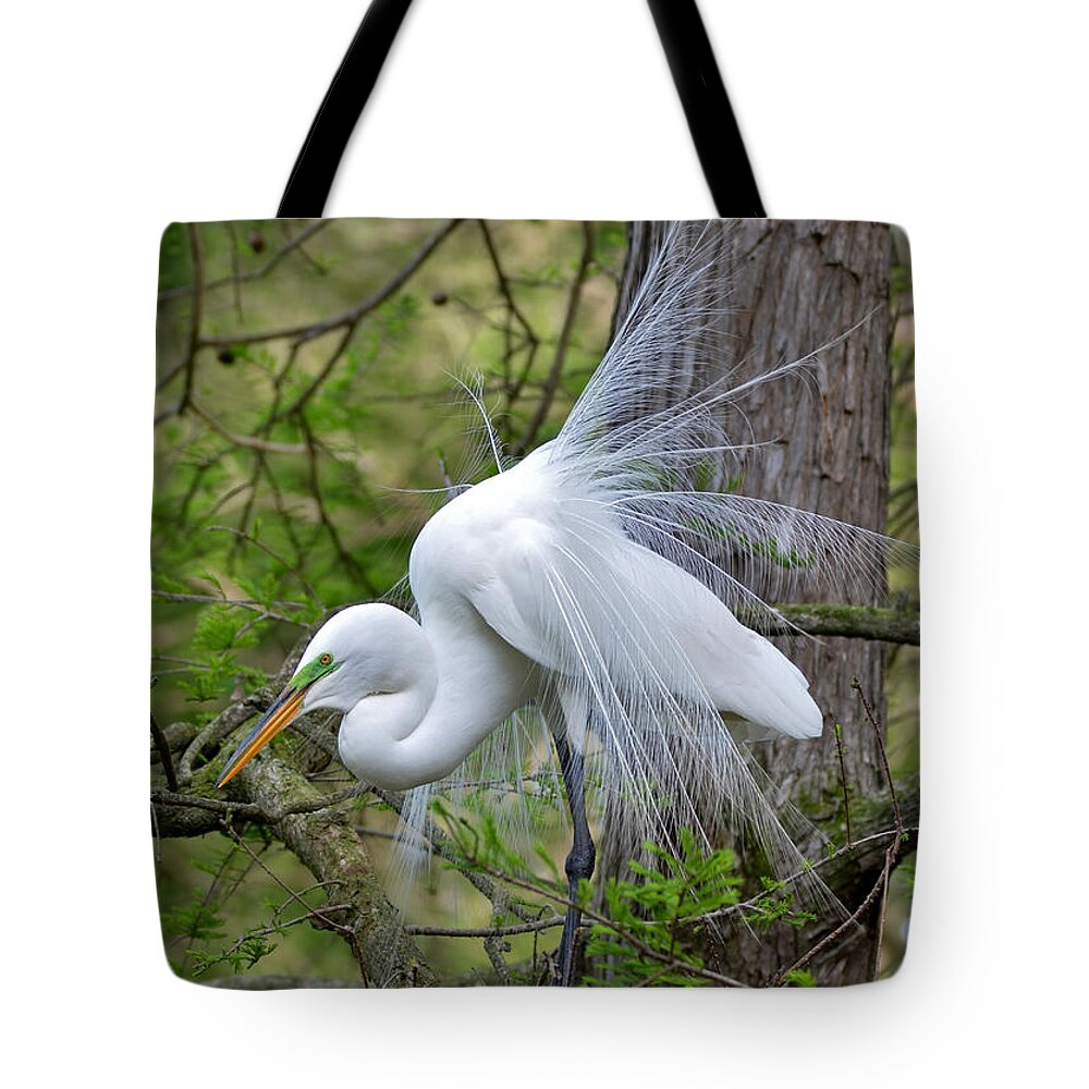 Egret Tote Bag featuring the photograph My Beautiful Plumage by Kathy Baccari