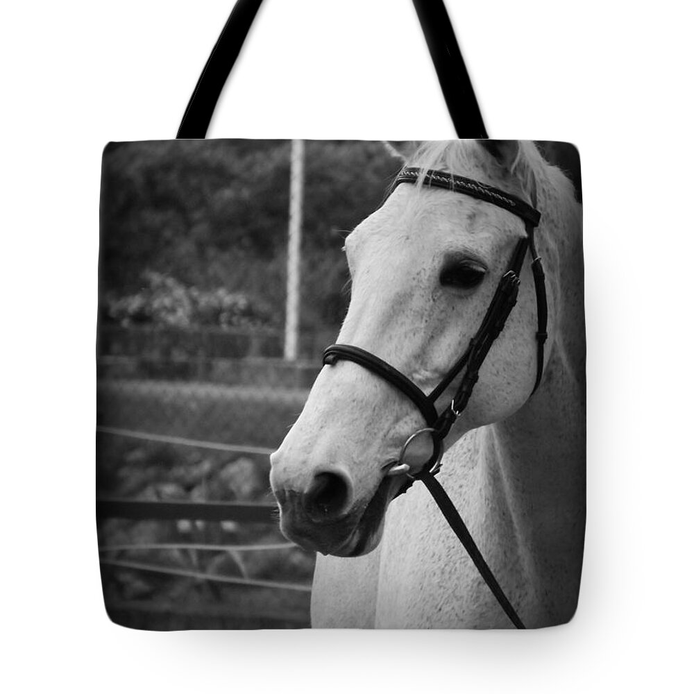 Horses Tote Bag featuring the photograph My best Friend by Clare Bevan